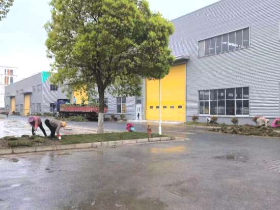 绿化改造工程